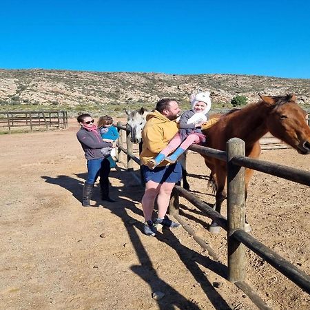 LaingsburgRooilande Guest Farmアパートメント エクステリア 写真